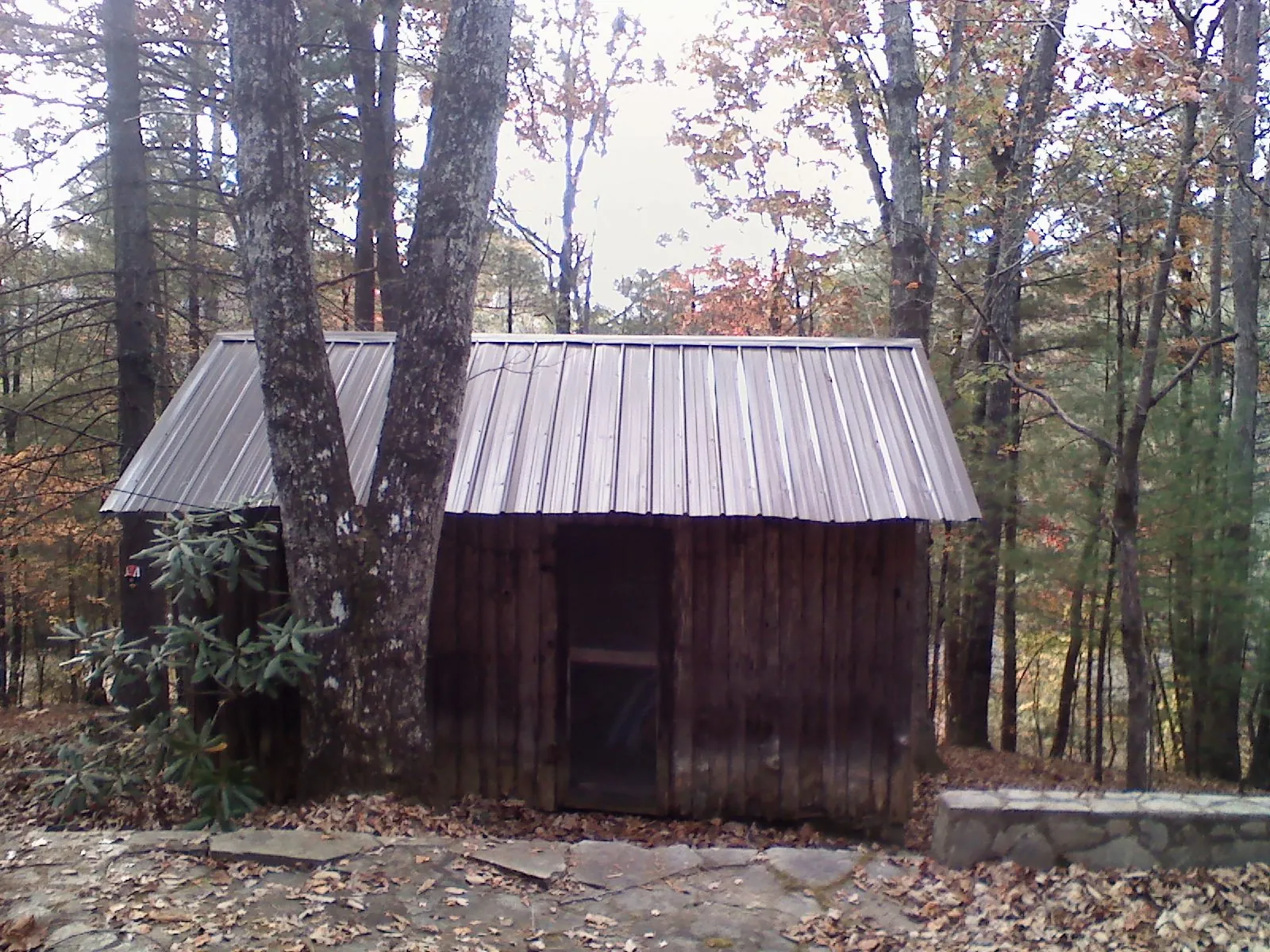 New metal gable roof on a small log shed among the trees in Pinetown